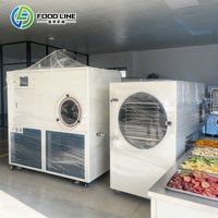 Commerciële kleine vriesdroogmachine voor snoep, fruit en voedsel - prijs