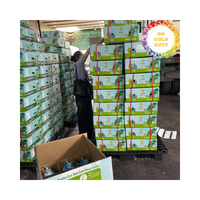 Vietnamese Verse Groene Zoete Gepelde Kokosnoot Duimpulp-Mals Kokosnoot-Zoet Kokoswater-Premium Kwaliteit