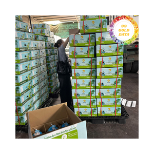 Nước cốt dừa tươi xanh ngọt ngào đã bóc vỏ - Dừa non - Nước dừa ngọt - Chất lượng cao cấp - Product Image 4