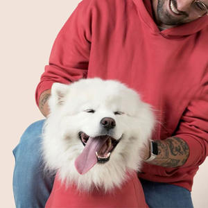 Customized Logo <b>Dog</b> <b>Hoodies</b> Latest Style Best Quality <b>Dog</b> Coats & Jackets <b>for</b> Sale <b>Dog</b> <b>Hoodies</b> - Product Image 2