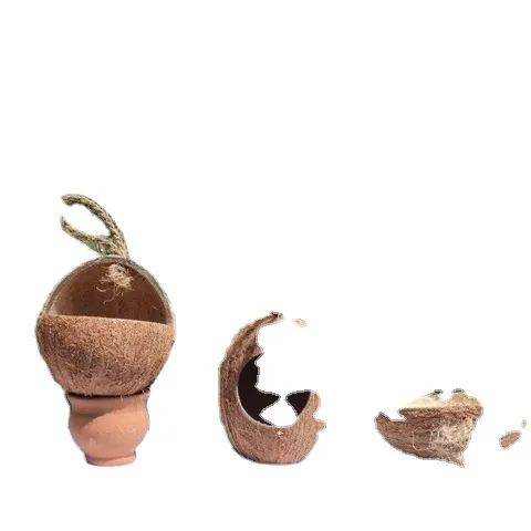 Coconut shell Bird Feeder