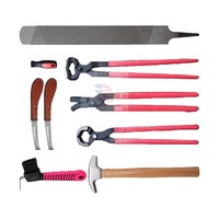 Kit d'outils de fermeur vétérinaire pour chevaux : Pince à sabots, Râpe, Marteau, Couteau, Lime – Réutilisable en acier inoxydable
