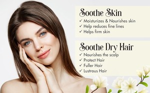 Pure and Organic Vanilla <b>Flower</b> Oil (Vanilla Planifolia) for Skin , Hair and Acne Care at Wholesale Price - Product Image 2