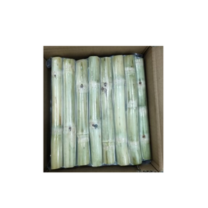 Bâtonnets de canne à sucre congelés, transformés au Vietnam, préservant l'arôme naturel, parfaits pour le jus professionnel et la restauration. - Product Image 4