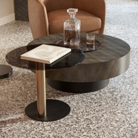 Table basse moderne Rome en bois brun bronze et or pour le salon