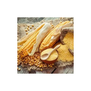 Suministro a granel de maíz amarillo no transgénico, maíz criado en granja seco para consumo humano y animal, precio competitivo de exportación - Product Image 4