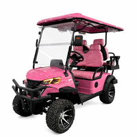 Voiturette de golf électrique écologique UCB-12 4 places, moteur à couple élevé, véhicule de luxe tout-terrain pour passagers, vente directe en gros