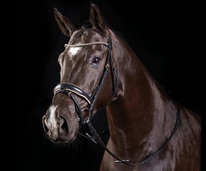 บังเหียนแบบฮาโลเนียประดับคริสตัลสีโรสโกลด์พร้อมหูฟังบุนวมทำจากผลิตภัณฑ์หนังม้าคุณภาพดีเยี่ยม - Product Image 2