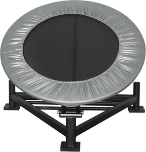 IRIS 15kg Custom Size PVC Pro Bounce Medicine <b>Ball</b> <b>Rebounder</b> for Hot Sale - Product Image 1