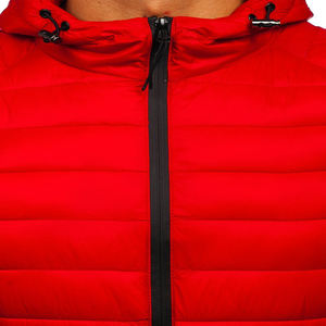 OEM personalizado de los hombres de invierno acolchado chaqueta con capucha cálido a prueba de viento transpirable respetuoso del medio ambiente estilo Casual Stand Collar ligero Plus - Product Image 3