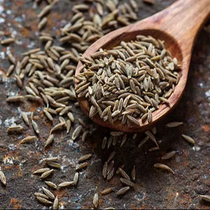 Semillas de alcaravea orgánicas de alta calidad para productos agrícolas al por mayor y al por menor que ayudan a la digestión de la hinchazón - Product Image 1