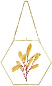 Cadre suspendu en laiton de décoration murale transparente octogonale pour l'affichage de fleurs séchées de plantes pressées pour la décoration - Product Image 6