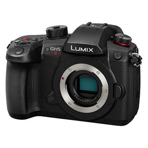 Ensemble de 3 pièces : Appareil photo hybride (corps uniquement) avec fonction de diffusion en direct, étui rigide et carte SD V90 UHS II de 64 Go - Product Image 5