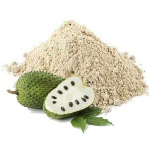 GRAVIOLA FRUIT SOURSOP POUDRE SOURSOP FRUIT POUDRE DU VIETNAM - Product Image 1