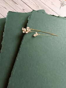 Carta stracci di cotone Khadi verde scuro <span class=keywords><strong>A4</strong></span> 20X30 <span class=keywords><strong>cm</strong></span> fogli di cotone 100% 200gsm - Product Image 3