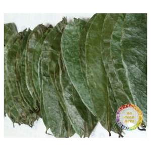 Feuilles de corossol séchées en gros, exportation en vrac, feuilles de graviaola propres, fournisseur du Vietnam, réseau mondial - Product Image 2