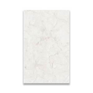 Azulejo de Pared Cerámico Digital Brillante de 25x40 cm para Interiores, Interiores Modernos, Superficie Elegante con Acabado Liso para Uso Doméstico - Product Image 4