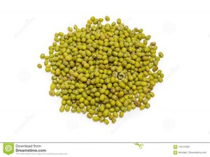 Lentejas Verdes Secas de Alta Calidad, Producto Ecológico de Austria, Precios de Mayoreo para Venta al por Mayor - Product Image 5