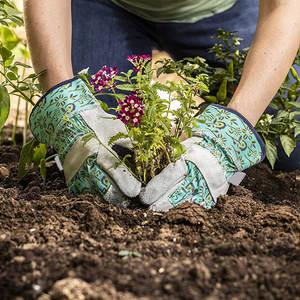 Guantes de Trabajo con Logotipo Personalizado OEM, Sublimados, para Jardinería, Material de Cuero Personalizado, Construcción Anti-Corte, Guantes para Conductor - Product Image 5