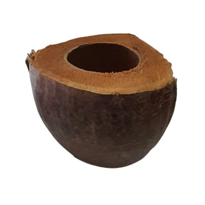 Fournisseur en gros vendant 100% coquille de noix de coco naturelle et cosse de noix de coco contenant d'eau potable bol d'eau potable pour animaux de compagnie