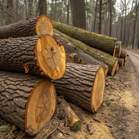 Planches de bois de chêne européen / Poutres / Lattes - Utilisation en atelier industriel - Dimensions personnalisées - Séchage au four - Écologique - Économie d'énergie - Groupe Lumari