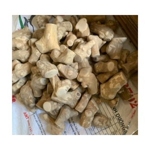 PERCA DE PÁJARO DE MADERA DE CAFÉ DE ALTA CALIDAD DEL PROVEEDOR VIETNAMIGO MÁS VENTA/Sra. Thi - Product Image 4