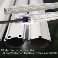 Tube LED pour poulets, éclairage professionnel pour volailles, tube lumineux étanche IP67, éclairage pour porcs, lampes pour ferme