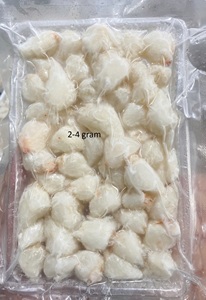 Cao Cấp Đông Lạnh Màu Xanh Bơi Cua Thịt Cho Súp Cho Salad Cho Mì Ống Và Bánh Cua Jumbo Khối Ngón Tay Hoặc Cơ Thể Thịt - Product Image 2