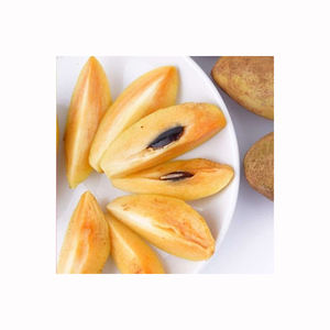 Fruta de sapota chikoo fresca de calidad de exportación, cosecha premium de granja, producto maduro y dulce, pedidos al por mayor - Product Image 3