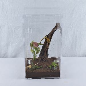 Caja de Cría de Acrílico con Puerta Magnética Apilable, Estable a la Humedad, para Tarántulas o Escorpiones, Envío Global - Product Image 6