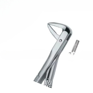 Pince à extraire les dents Fig74 meilleure qualité Logo personnalisé produits Instruments dentaires en acier inoxydable - Product Image 6
