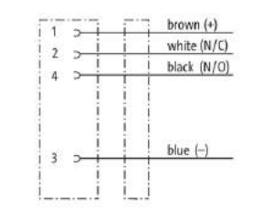 M12 A Code Femelle Droite 4 Broches avec Câble Noir Non Blindé en PVC 4x0.34 m² - Product Image 4