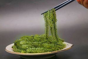 EXPORTATION EN VRAC CAVIAR VERT/RAISINS DE MER DÉLICIEUX DU FOURNISSEUR DU VIET NAM - Product Image 5