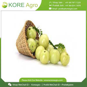 100% poudre d'extrait d'Amla sans produits chimiques OEM marque privée fabricant d'extrait de fines herbes de groseille à maquereau indienne - Product Image 6