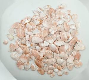 Cabochon de scolecite naturel de haute qualité pierre précieuse taillée ovale pour la fabrication de bijoux Unique incroyable pierre de scolecite Cabochon en vrac - Product Image 3