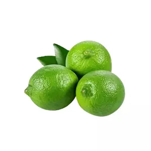 MEILLEUR PRIX HAUTE QUALITÉ FRAIS SANS GRAINES 2023/Lime fraîche sans pépins Vietnam/Vente en gros CITRON VERT 99 DONNÉES OR