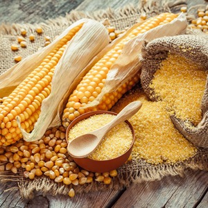 Maïs jaune sans OGM de qualité supérieure en vrac Vente en gros Maïs en grains séché biologique Maïs en grains Alimentation animale Maïs Exportation Fourniture de qualité - Product Image 1