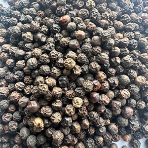 Poivre noir du Vietnam de haute qualité de fabrication prêt pour l'exportation en vrac toutes qualités épices simples et herbes/ANNA DO VILACONIC - Product Image 5