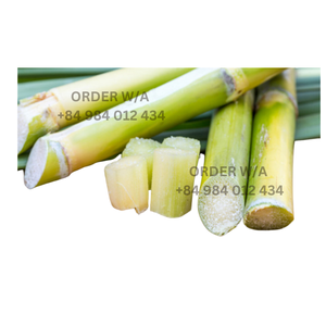 CAÑA DE AZÚCAR DULCE CONGELADA MEJOR CALIDAD PRECIO BARATO PAQUETE A GRANEL DE FÁBRICA DE VIETNAM - Product Image 5