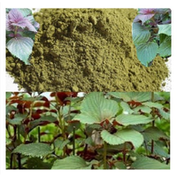 Bubuk Daun Perilla Mentah Kering Murni / Digiling Halus Bebas Pengawet / 100% Alami / Harga Grosir untuk Pembeli dalam Jumlah Besar / Dibuat