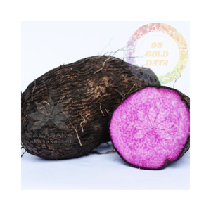 Yam dulce púrpura vietnamita de alta calidad, fresco y puro, precios competitivos para pedidos a granel, entrega internacional rápida - Product Image 4