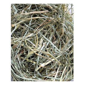 Envoi en gros de foin d'herbe de Rhodes de haute qualité, préparé pour une livraison en gros volume - Product Image 4