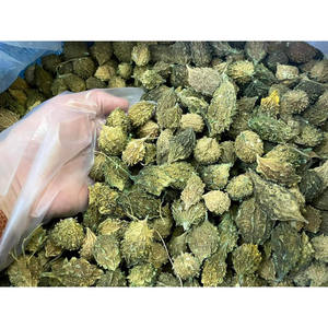 Manzana amarga-Calabaza amarga | Calabaza amarga seca al sol natural orgánica - Product Image 1