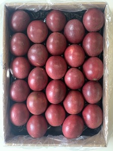 Vente en gros de fruits de la passion Bon service Emballage personnalisé frais et juteux - Product Image 3