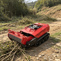 Broyeur à chenilles diesel télécommandé CE, directement de l'usine, pour la remise en état des terrains en pente en montagne