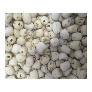 Graines de lotus séchées, matière première végétale propre, adaptées à la production de snacks et aux applications culinaires, récoltées au Vietnam - Product Image 4