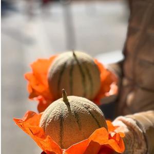 Melones Cantalupo Frescos Naturales de Primera Calidad - Alta Dulzura (Brix) - Melones Musk de Grado de Exportación a Granel - Product Image 4