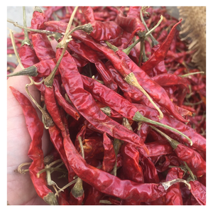 CHILLIES Power: Les piments séchés du Vietnam apportent une chaleur rouge naturelle à votre cuisine, idéal pour des recettes faciles et populaires. - Product Image 4
