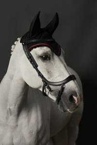 Bride anatomique CHEVAL BRIDLE DELUXE ANATOMIQUE EN CUIR ÉLEVÉ CHEVAL BRIDLE DELUXE ANATOMIQUE CUIR ÉLEVÉ - Product Image 2