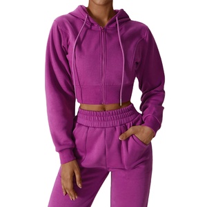 Sudaderas recortadas con logotipo personalizado Jogger Conjunto de 2 piezas Ropa de mujer, Tops cortos de gran tamaño Sudaderas con capucha y pantalones de chándal para mujer - Product Image 1